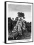 Mayan Ruins, Tikal, Guatemala, 19th Century-Alexandre De Bar-Framed Stretched Canvas