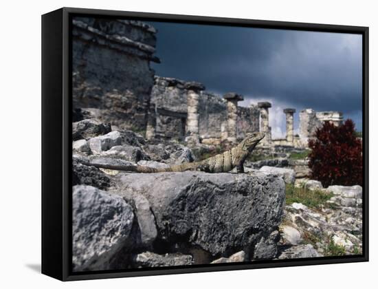 Mayan Ruins, Tulum, Mexico-Angelo Cavalli-Framed Stretched Canvas