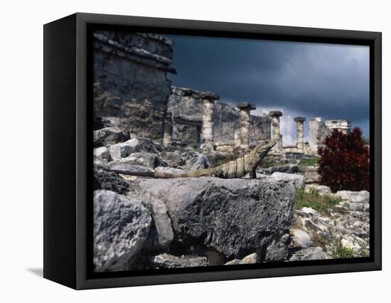 Mayan Ruins, Tulum, Mexico-Angelo Cavalli-Framed Stretched Canvas