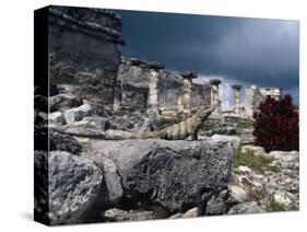 Mayan Ruins, Tulum, Mexico-Angelo Cavalli-Stretched Canvas