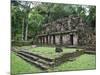 Mayan Ruins, Yaxchilan, Chiapas State, Mexico, North America-Christian Kober-Mounted Photographic Print
