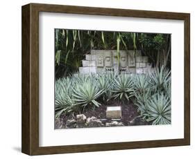 Mayan Sculpture, Chankanaab National Park, Cozumel Island (Isla De Cozumel), Quintana Roo, Mexico, -Wendy Connett-Framed Photographic Print