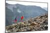 Mayan Smith-Gobat & Ben Rueck Go For High Elevation Trail Run, Backcountry Of Above Marble, CO-Dan Holz-Mounted Photographic Print