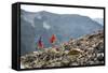 Mayan Smith-Gobat & Ben Rueck Go For High Elevation Trail Run, Backcountry Of Above Marble, CO-Dan Holz-Framed Stretched Canvas