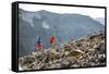 Mayan Smith-Gobat & Ben Rueck Go For High Elevation Trail Run, Backcountry Of Above Marble, CO-Dan Holz-Framed Stretched Canvas