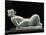 Mayan Statue of Chac Mool, from Chichen Itza, 11th Century-null-Mounted Giclee Print