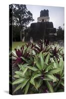 Mayan Structure, Tikal, UNESCO World Heritage Site, Guatemala, Central America-Colin Brynn-Stretched Canvas