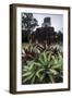 Mayan Structure, Tikal, UNESCO World Heritage Site, Guatemala, Central America-Colin Brynn-Framed Photographic Print