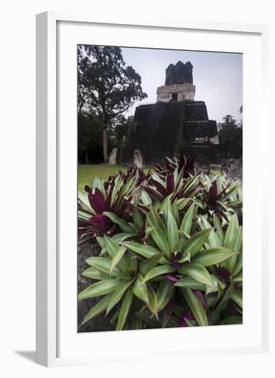 Mayan Structure, Tikal, UNESCO World Heritage Site, Guatemala, Central America-Colin Brynn-Framed Photographic Print