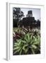 Mayan Structure, Tikal, UNESCO World Heritage Site, Guatemala, Central America-Colin Brynn-Framed Photographic Print