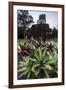 Mayan Structure, Tikal, UNESCO World Heritage Site, Guatemala, Central America-Colin Brynn-Framed Photographic Print