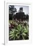 Mayan Structure, Tikal, UNESCO World Heritage Site, Guatemala, Central America-Colin Brynn-Framed Photographic Print