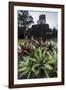 Mayan Structure, Tikal, UNESCO World Heritage Site, Guatemala, Central America-Colin Brynn-Framed Photographic Print