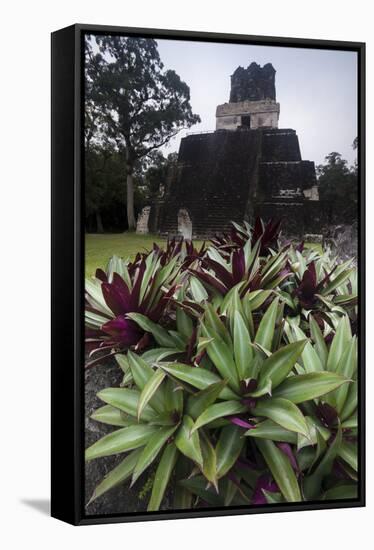 Mayan Structure, Tikal, UNESCO World Heritage Site, Guatemala, Central America-Colin Brynn-Framed Stretched Canvas