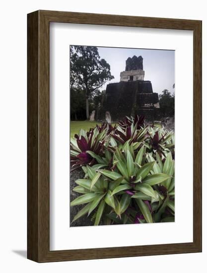 Mayan Structure, Tikal, UNESCO World Heritage Site, Guatemala, Central America-Colin Brynn-Framed Photographic Print