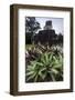 Mayan Structure, Tikal, UNESCO World Heritage Site, Guatemala, Central America-Colin Brynn-Framed Photographic Print