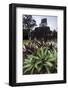 Mayan Structure, Tikal, UNESCO World Heritage Site, Guatemala, Central America-Colin Brynn-Framed Photographic Print