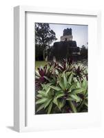 Mayan Structure, Tikal, UNESCO World Heritage Site, Guatemala, Central America-Colin Brynn-Framed Photographic Print