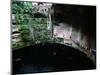 Mayans Ruins, East of Chichen Itza, Into the Cenote, Mexico-Charles Sleicher-Mounted Photographic Print