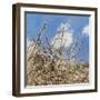 Mayflower, 2012-Helen White-Framed Giclee Print