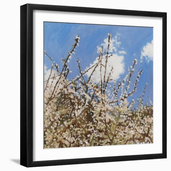 Mayflower, 2012-Helen White-Framed Giclee Print