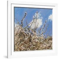 Mayflower, 2012-Helen White-Framed Giclee Print