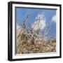 Mayflower, 2012-Helen White-Framed Premium Giclee Print