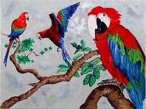 Macaws, 2006-Maylee Christie-Giclee Print