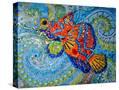 Stretched Canvas