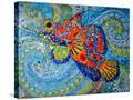 Stretched Canvas