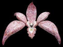 Orchid, 2011-Maylee Christie-Giclee Print