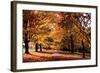 Maymont Maples II-Alan Hausenflock-Framed Photographic Print