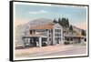 Maynes Picture Shop, Mammoth, Yellowstone-null-Framed Stretched Canvas