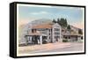 Maynes Picture Shop, Mammoth, Yellowstone-null-Framed Stretched Canvas