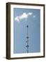 Maypole-Christine Meder stage-art.de-Framed Photographic Print