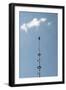 Maypole-Christine Meder stage-art.de-Framed Photographic Print