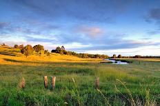 Colorful Landscape of Grass Field and Golden Shade of Sunset at Capalaba Redland-Maythee Voran-Photographic Print