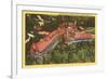 Mayview Manor, Blowing Rock, North Carolina-null-Framed Premium Giclee Print