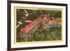 Mayview Manor, Blowing Rock, North Carolina-null-Framed Premium Giclee Print