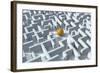 Maze, Artwork-David Mack-Framed Premium Photographic Print