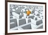 Maze, Artwork-David Mack-Framed Photographic Print