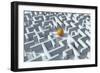 Maze, Artwork-David Mack-Framed Photographic Print