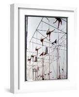 Maze of Ringling Bros. New Outdoor Rigging Supporting Trapezes and Ropes-Frank Scherschel-Framed Photographic Print