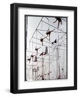 Maze of Ringling Bros. New Outdoor Rigging Supporting Trapezes and Ropes-Frank Scherschel-Framed Premium Photographic Print