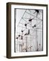 Maze of Ringling Bros. New Outdoor Rigging Supporting Trapezes and Ropes-Frank Scherschel-Framed Photographic Print