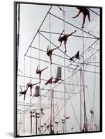 Maze of Ringling Bros. New Outdoor Rigging Supporting Trapezes and Ropes-Frank Scherschel-Mounted Photographic Print