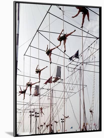 Maze of Ringling Bros. New Outdoor Rigging Supporting Trapezes and Ropes-Frank Scherschel-Mounted Photographic Print