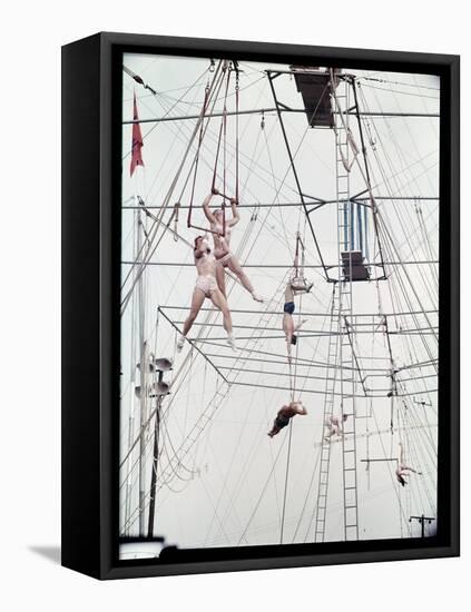 Maze of Ringling Bros. New Outdoor Rigging Supporting Trapezes and Ropes-Frank Scherschel-Framed Stretched Canvas