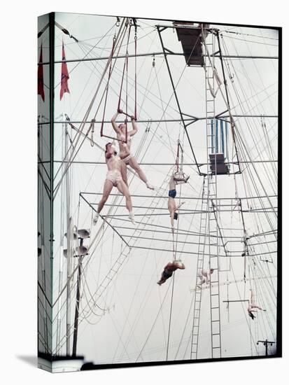 Maze of Ringling Bros. New Outdoor Rigging Supporting Trapezes and Ropes-Frank Scherschel-Stretched Canvas