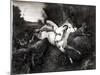 Mazeppa, 1826-Horace Vernet-Mounted Giclee Print